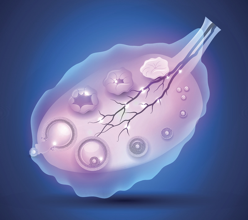 郑州有几家医院可以做试管！郑州哪个医院可以试管婴儿！